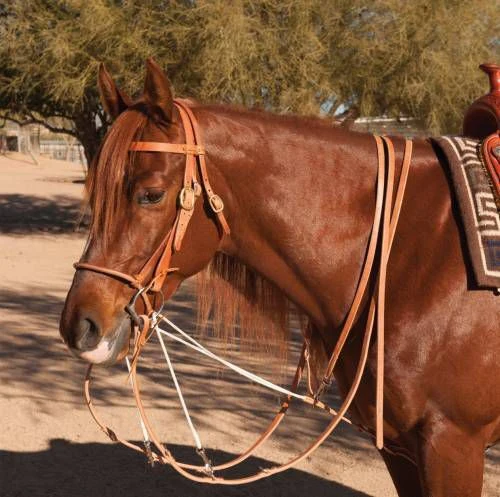 Al Dunning by Pro Choice Martingale with Single Rein