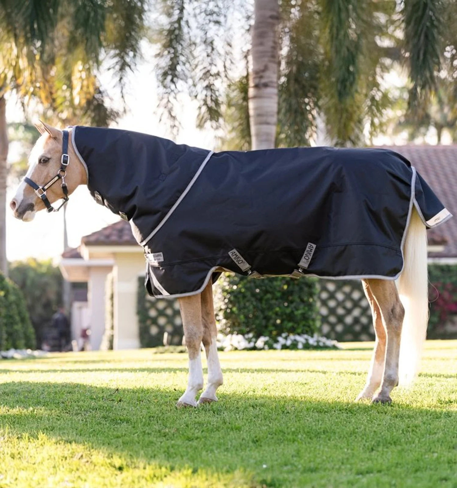 Amigo 1200D Plus Pony Turnout 250g - Image 2