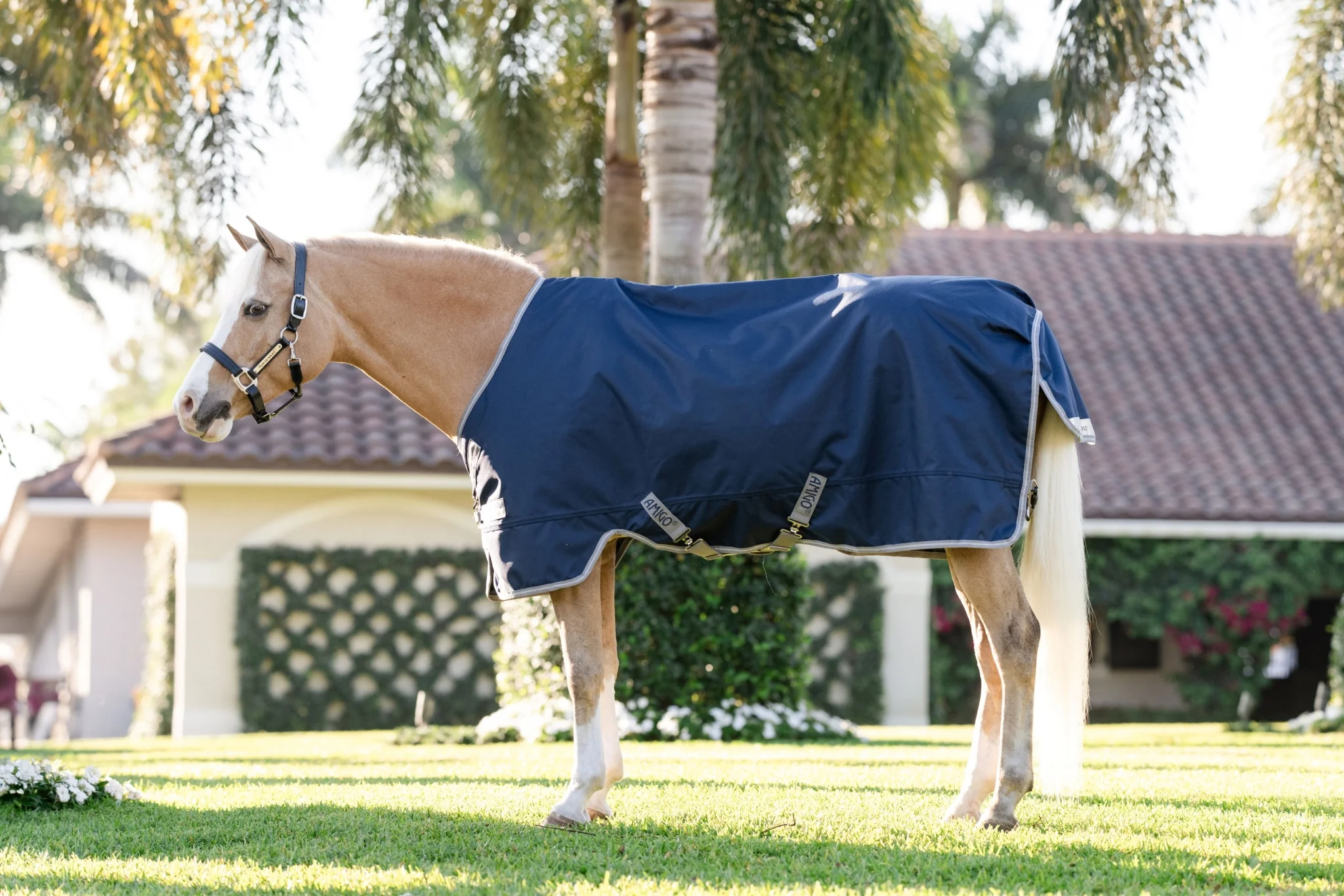 Amigo 1200D Pony Turnout 0g - Image 3