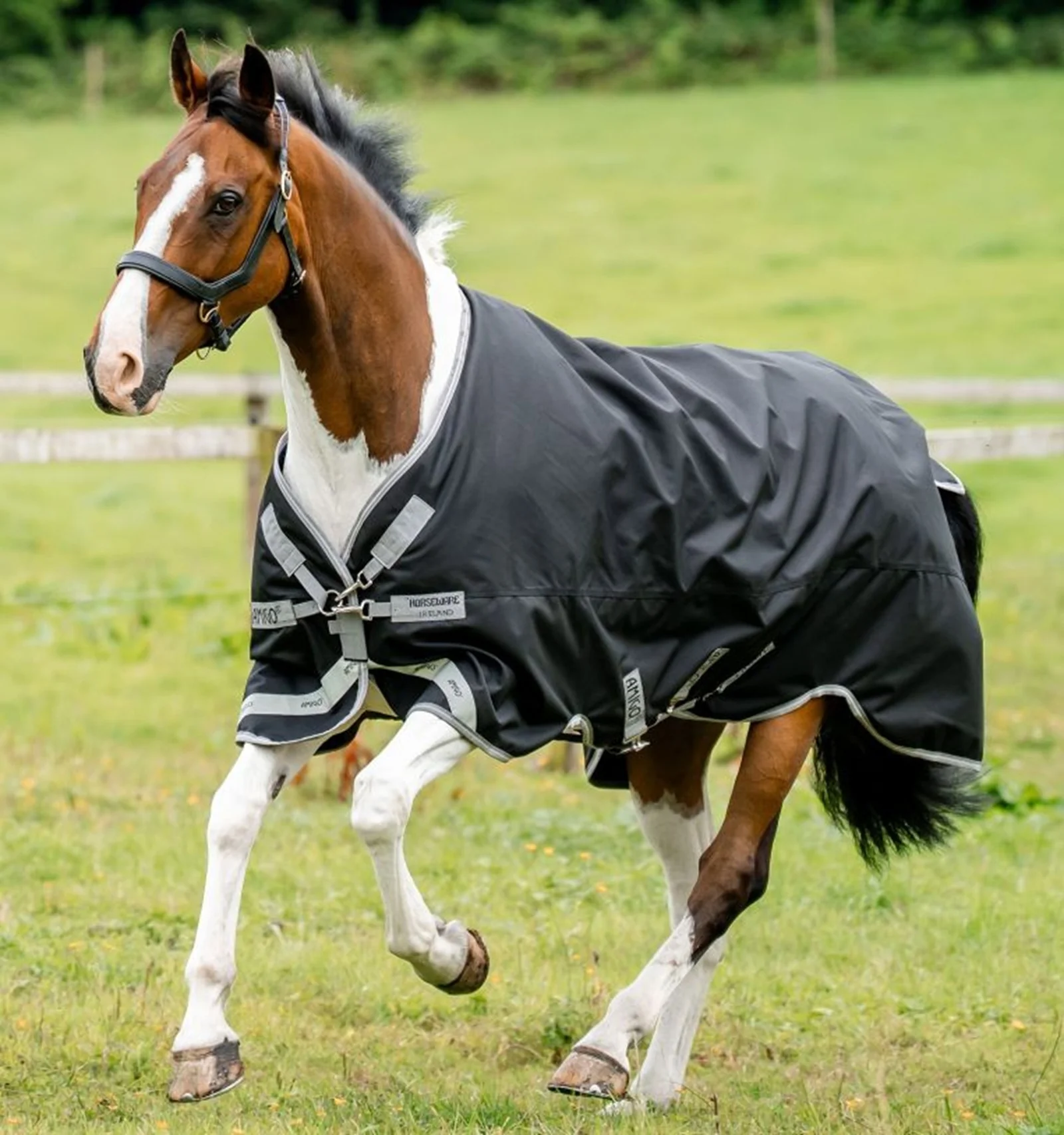 Amigo 1200D Turnout 50g - Image 2