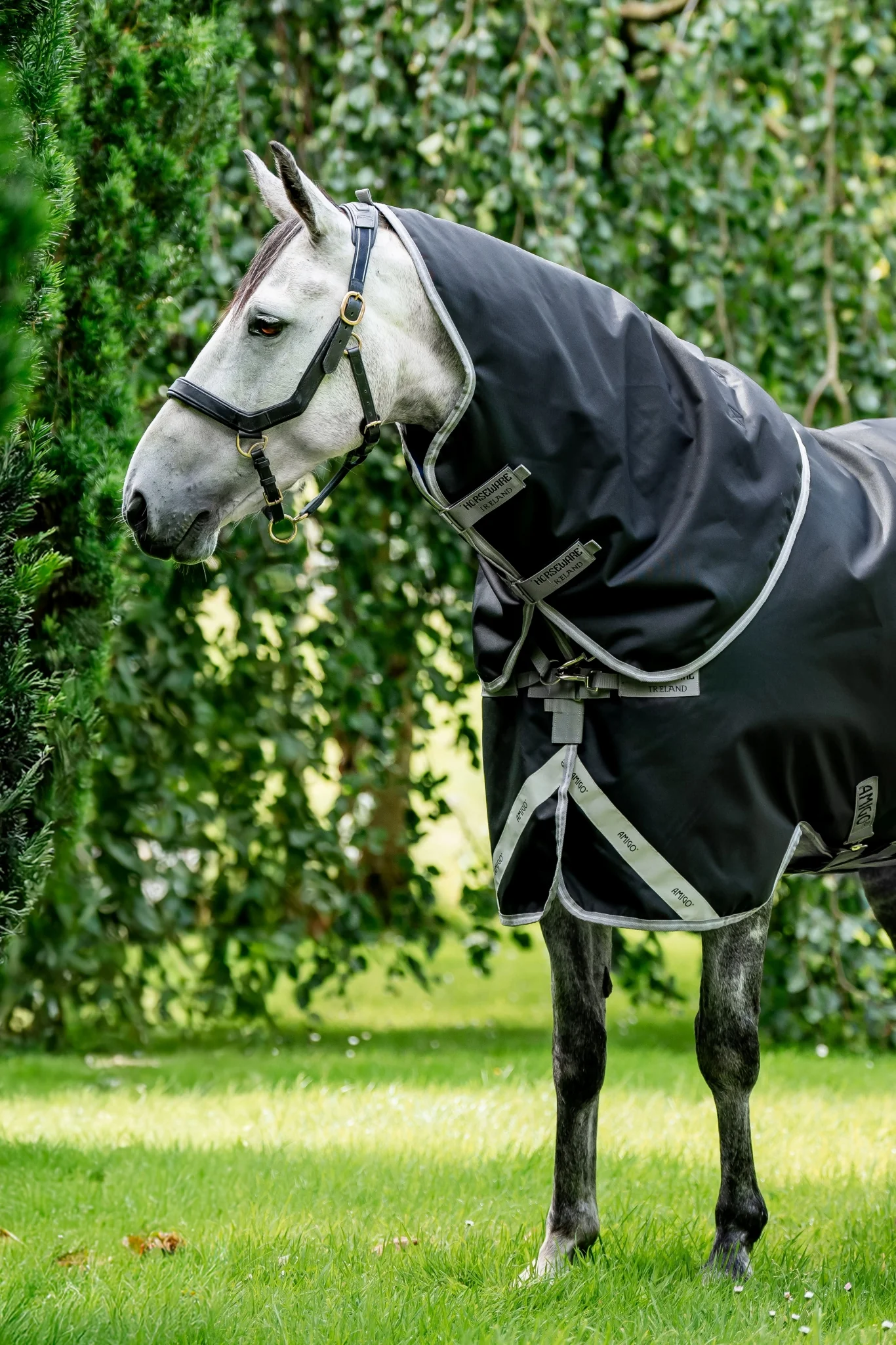 Amigo 1200D XL Hood 150g - Image 4