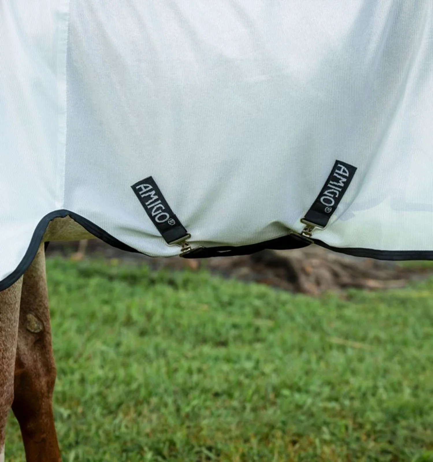 Amigo Bug Rug Stock Horse Fly Sheet - Image 3