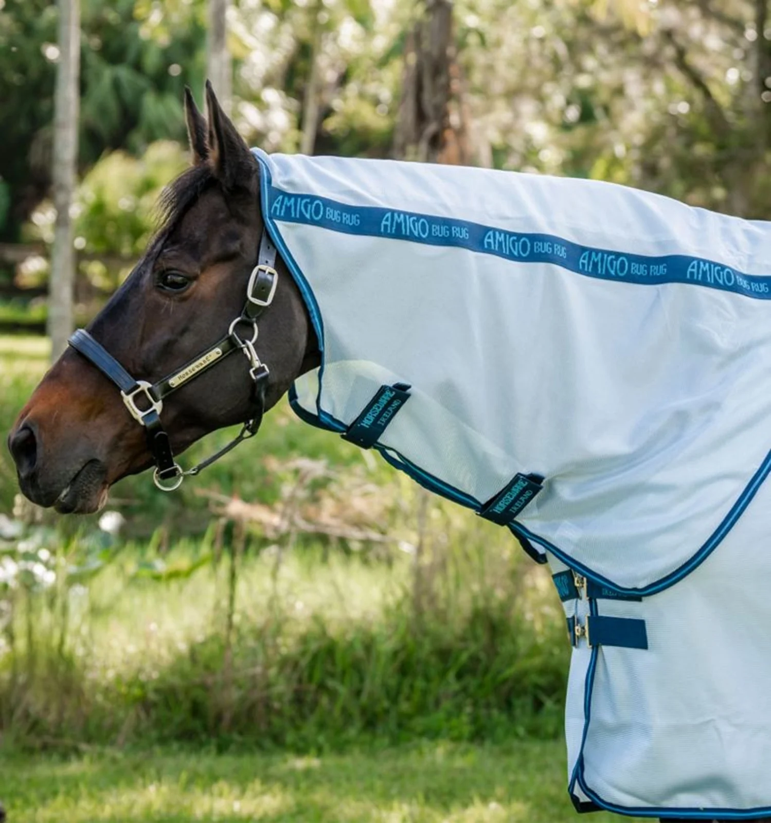 Amigo Bug Rug XL Plus Fly Sheet - Image 3