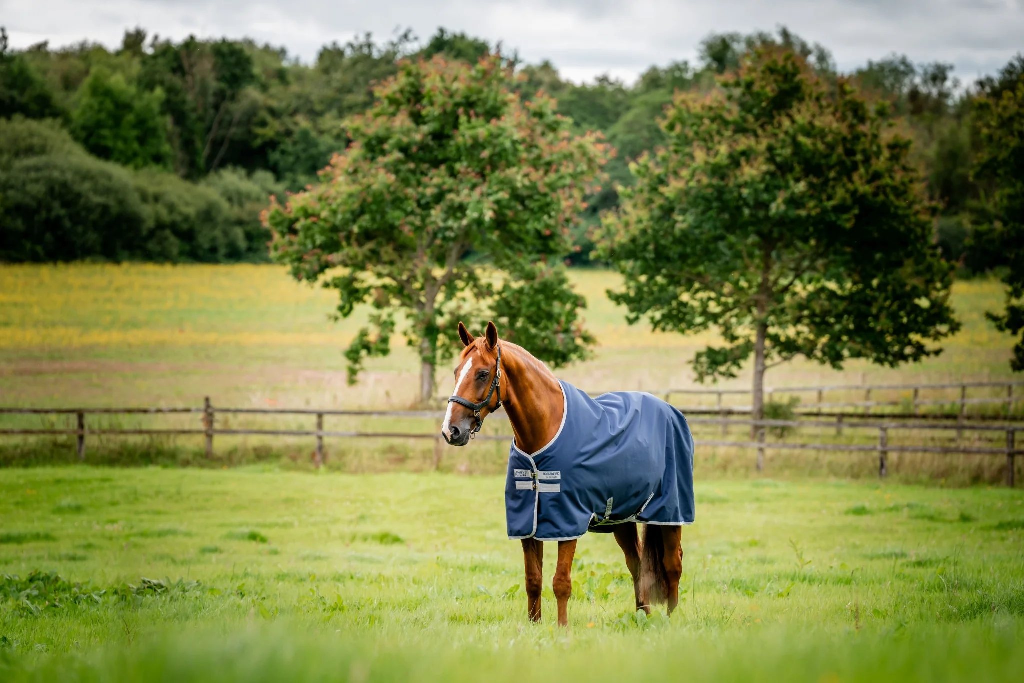 Amigo Ripstop 900D Turnout 200g - Image 5