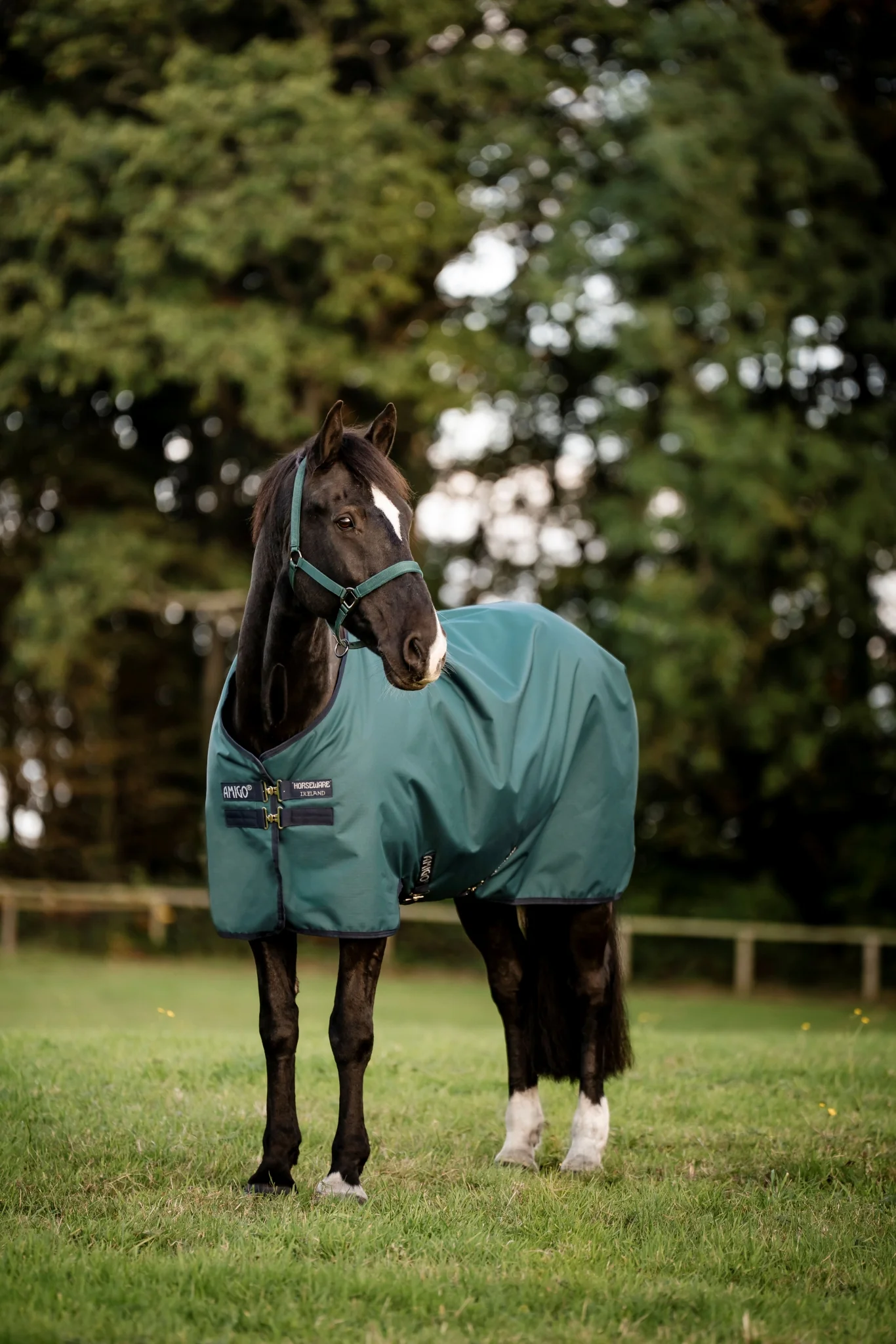 Amigo Ripstop 900D Turnout 200g - Image 6