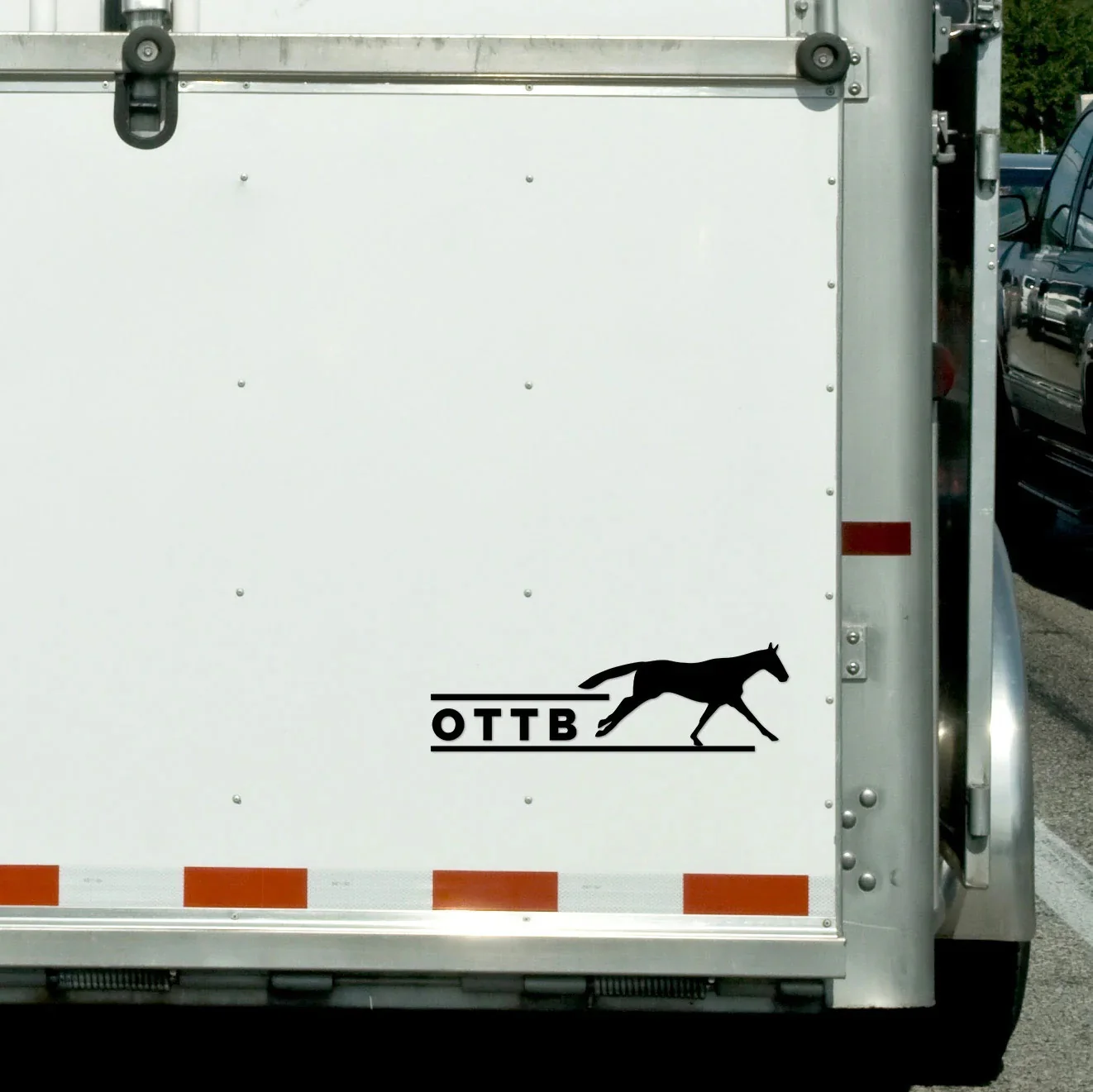 Dapplebay OTTB Vinyl Decal
