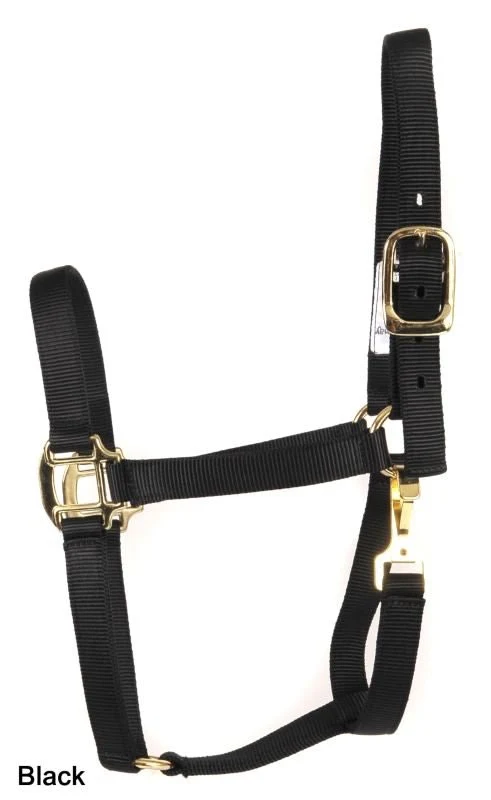 Deluxe 3-Ply Nylon Halter with Snap