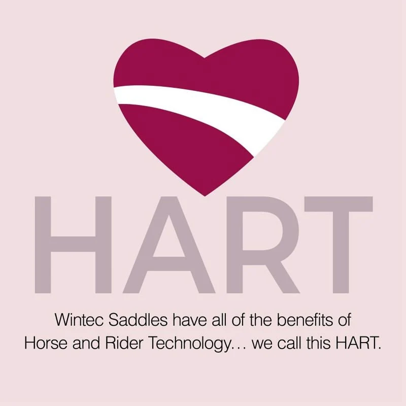 DEMO Wintec 500 All Purpose HART Saddle - Image 2