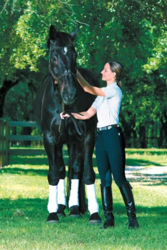Devon-Aire Ladies All-Pro Ribbed Breech - Image 4