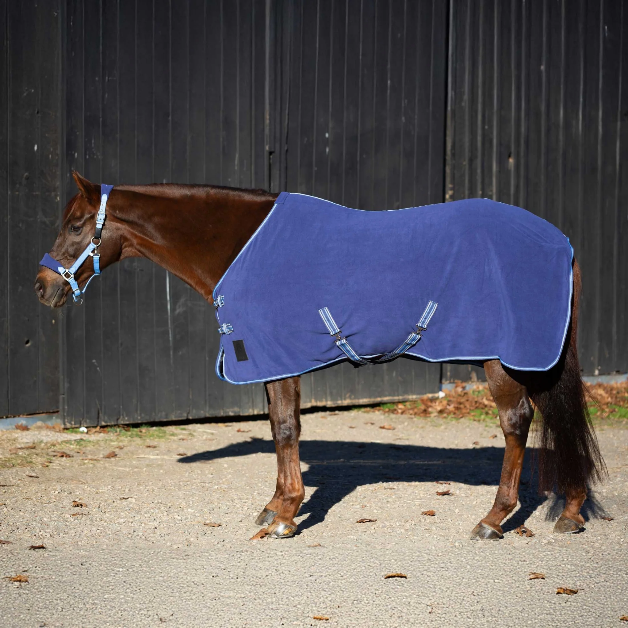 Equinavia Norse Fleece Cooler - Image 10
