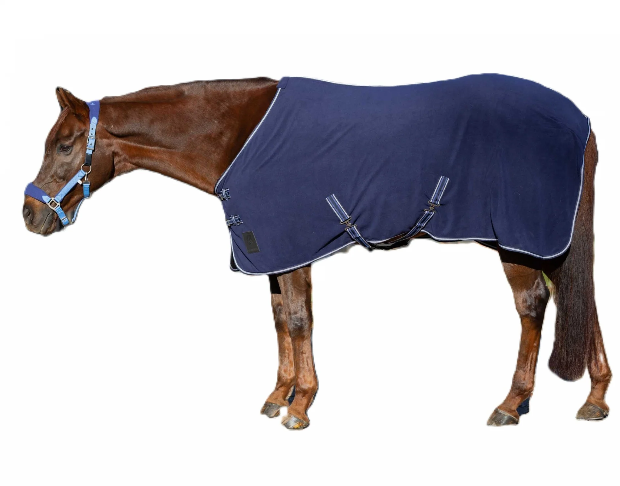 Equinavia Norse Fleece Cooler - Image 3