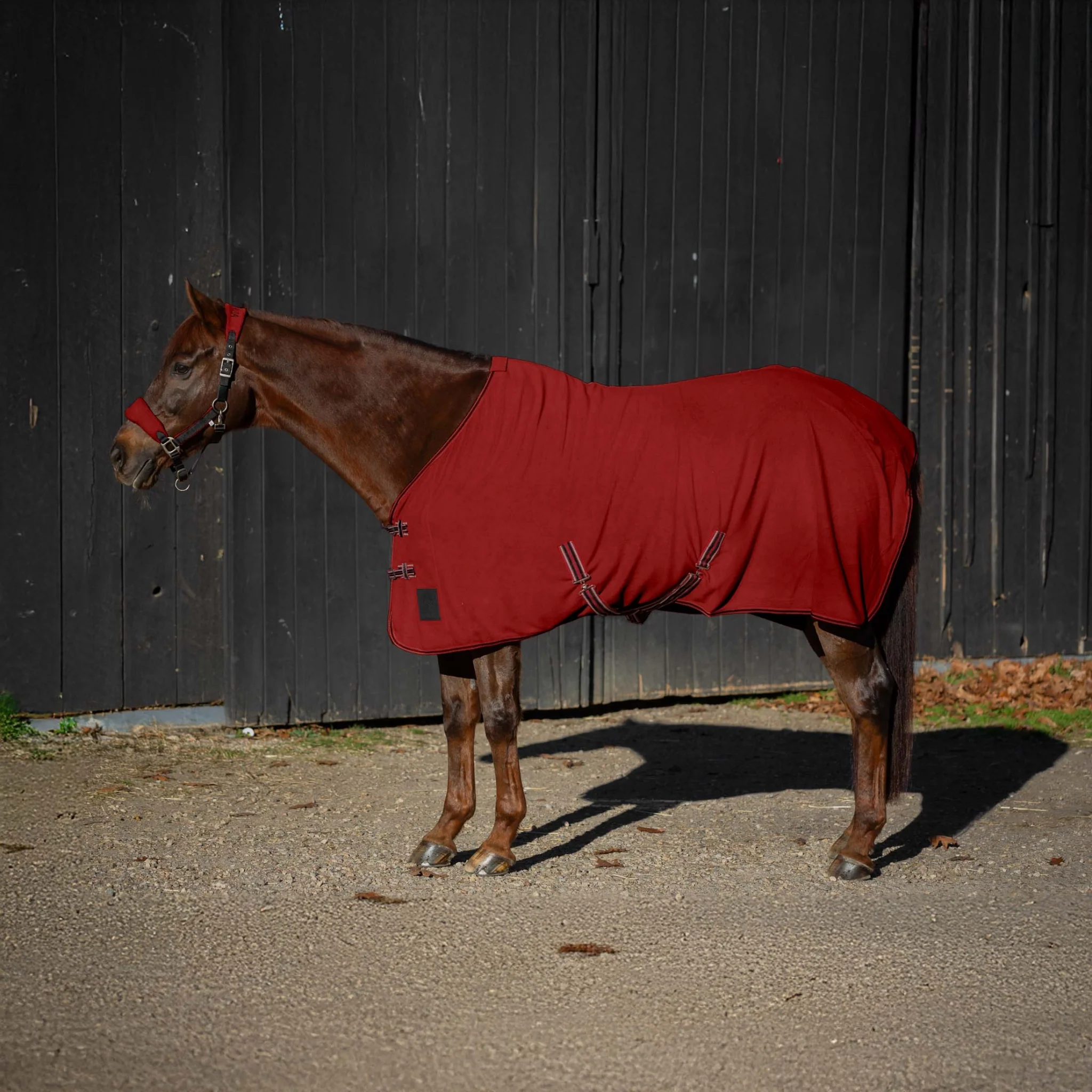 Equinavia Norse Fleece Cooler - Image 6