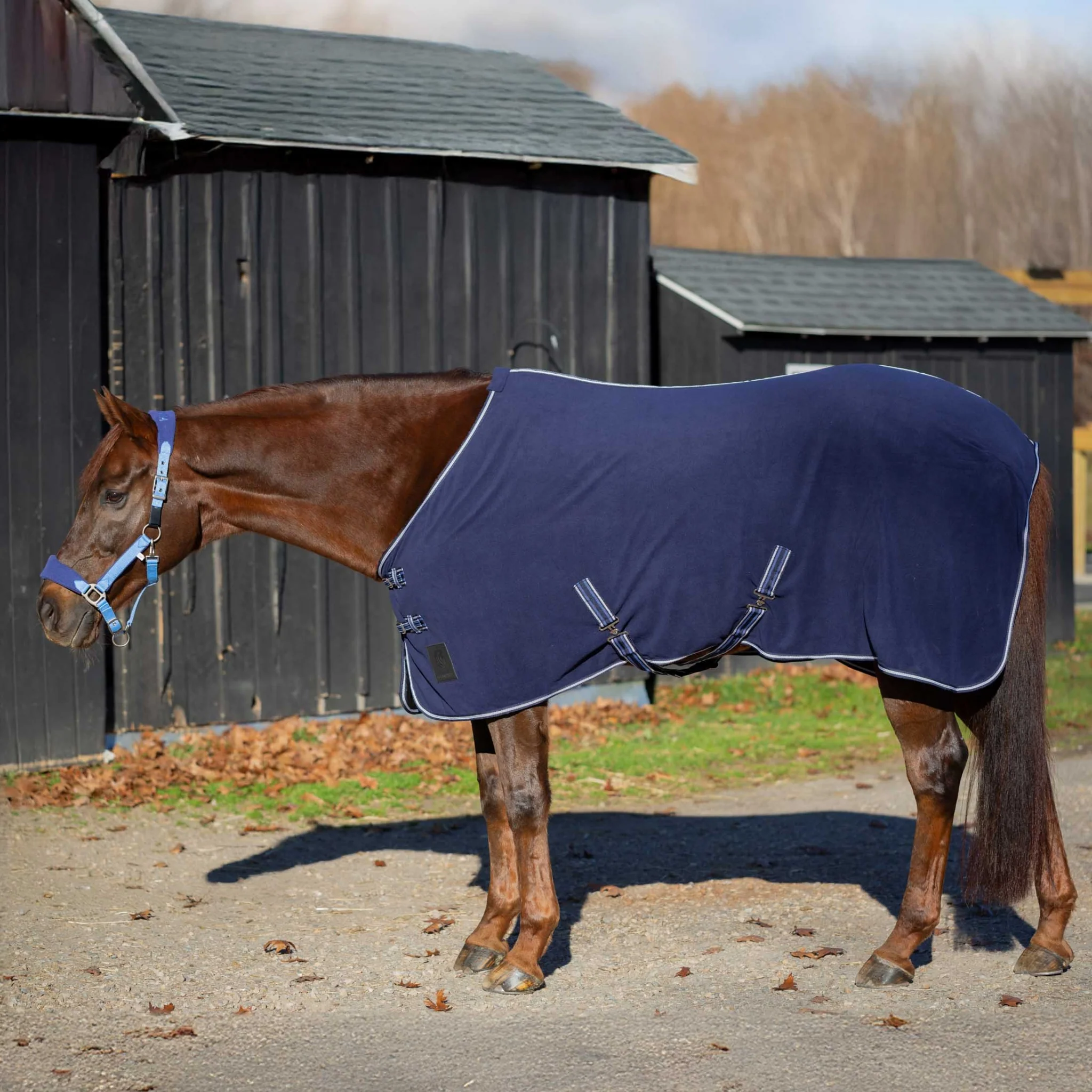 Equinavia Norse Fleece Cooler - Image 9