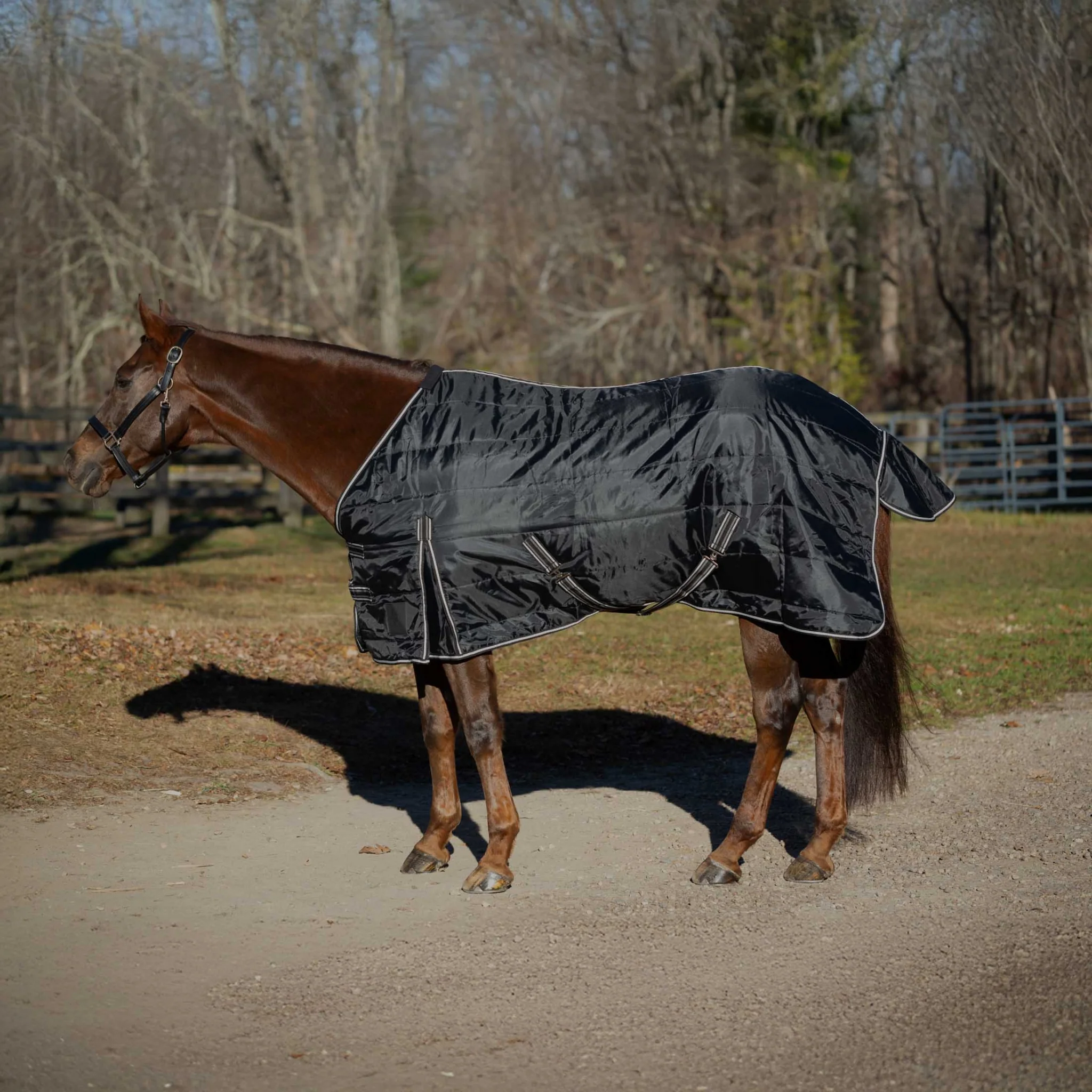Equinavia Norse Gus Stable Blanket 200g - Image 2