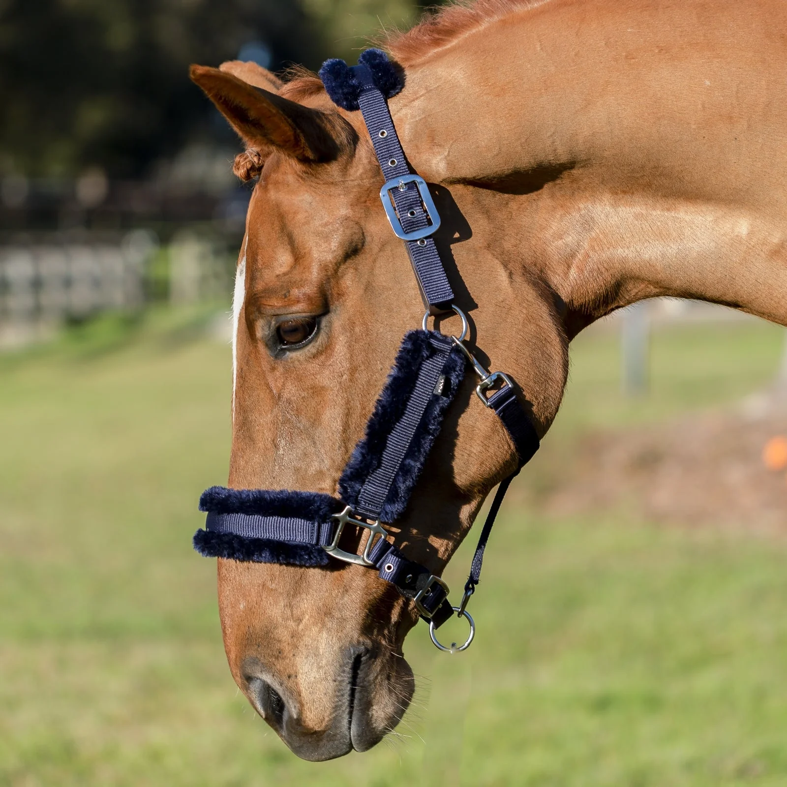 Equinavia Valkyrie Ultra Fleece Breakaway Halter - Image 10