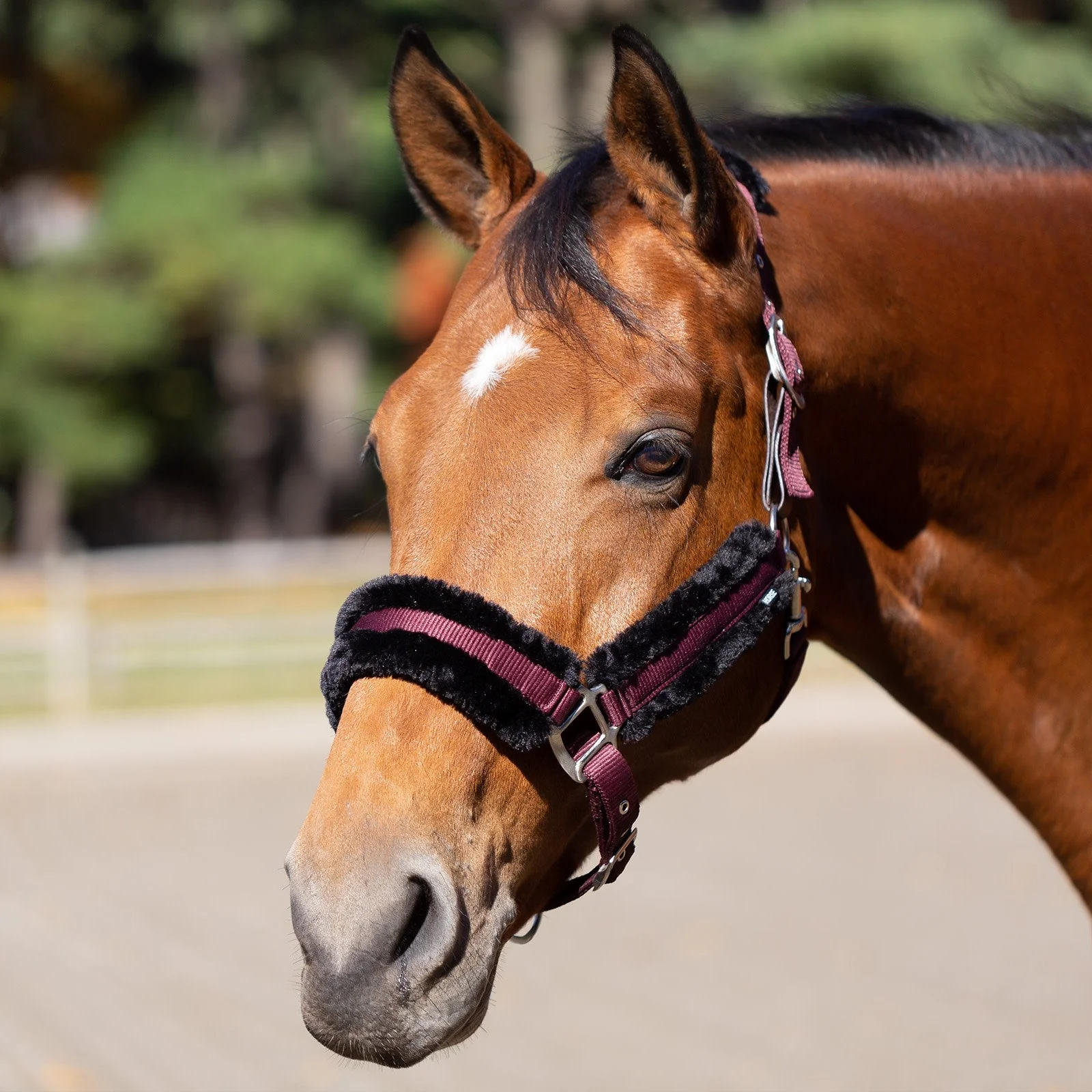 Equinavia Valkyrie Ultra Fleece Breakaway Halter - Image 11