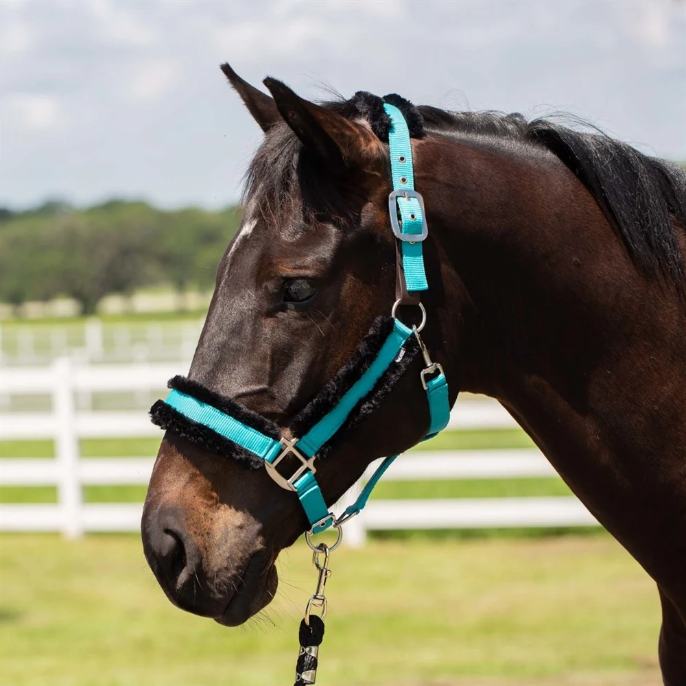 Equinavia Valkyrie Ultra Fleece Breakaway Halter - Image 14