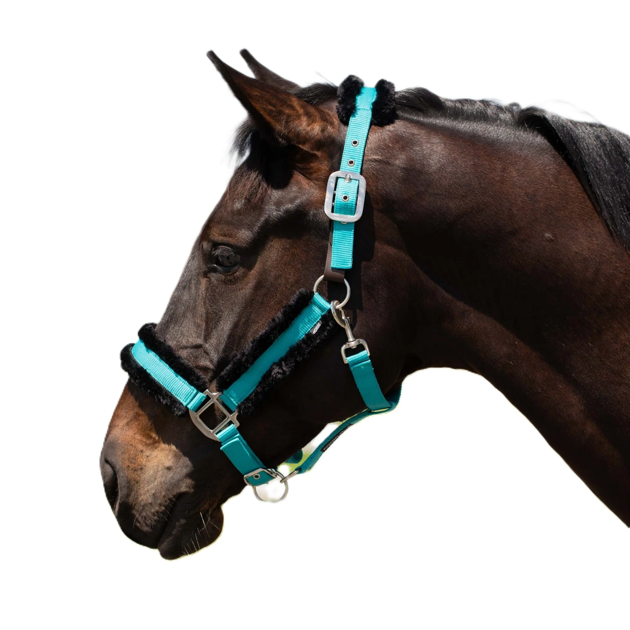Equinavia Valkyrie Ultra Fleece Breakaway Halter - Image 7