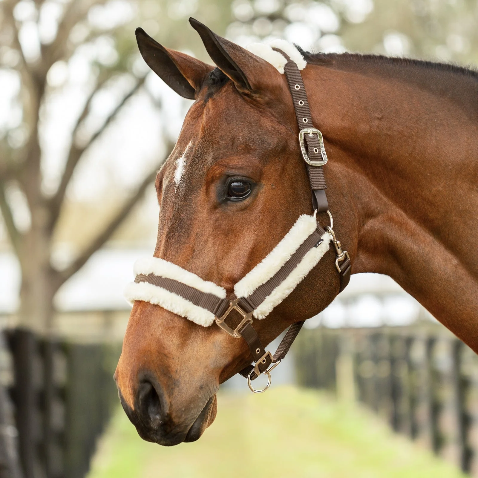 Equinavia Valkyrie Ultra Fleece Breakaway Halter - Image 8