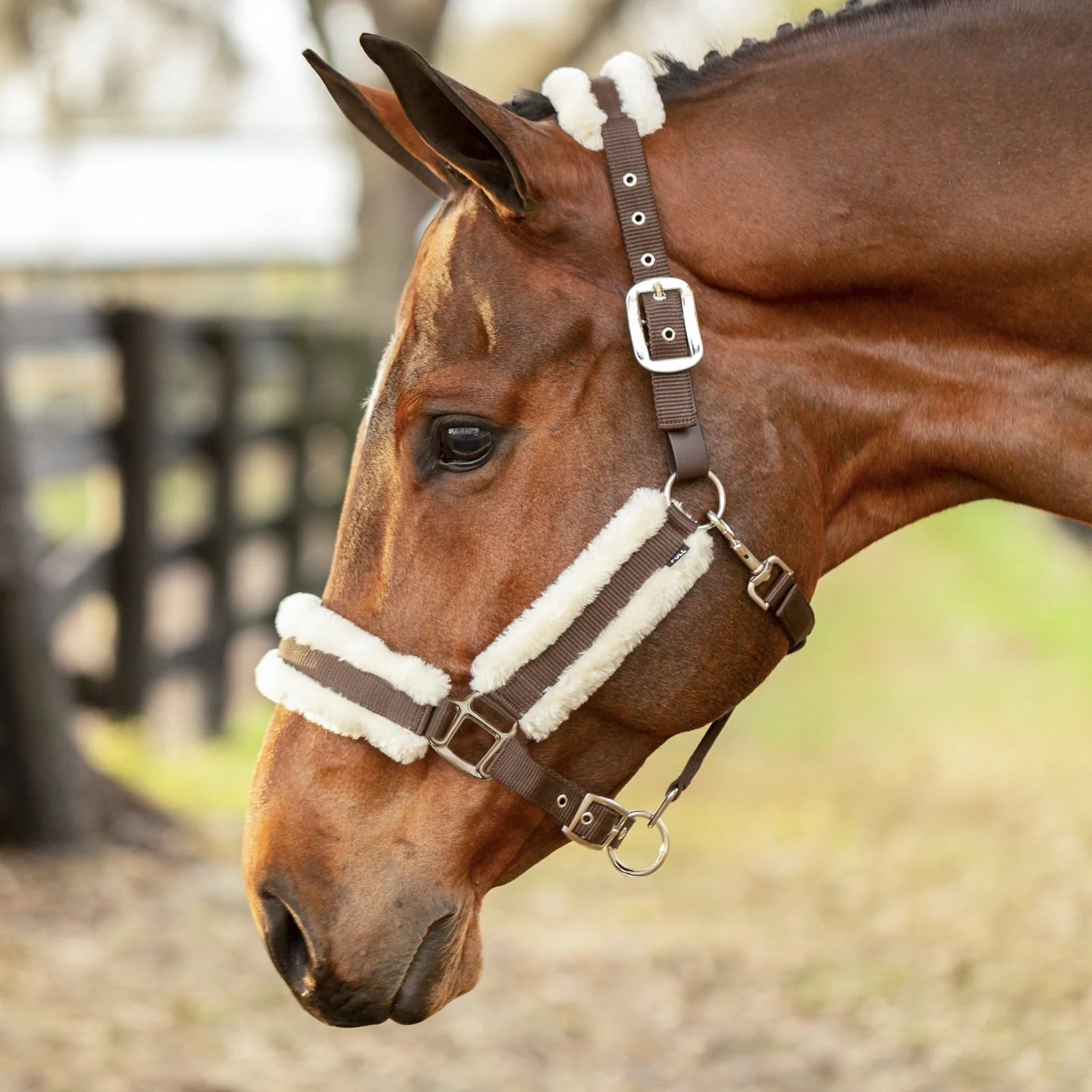 Equinavia Valkyrie Ultra Fleece Breakaway Halter - Image 9