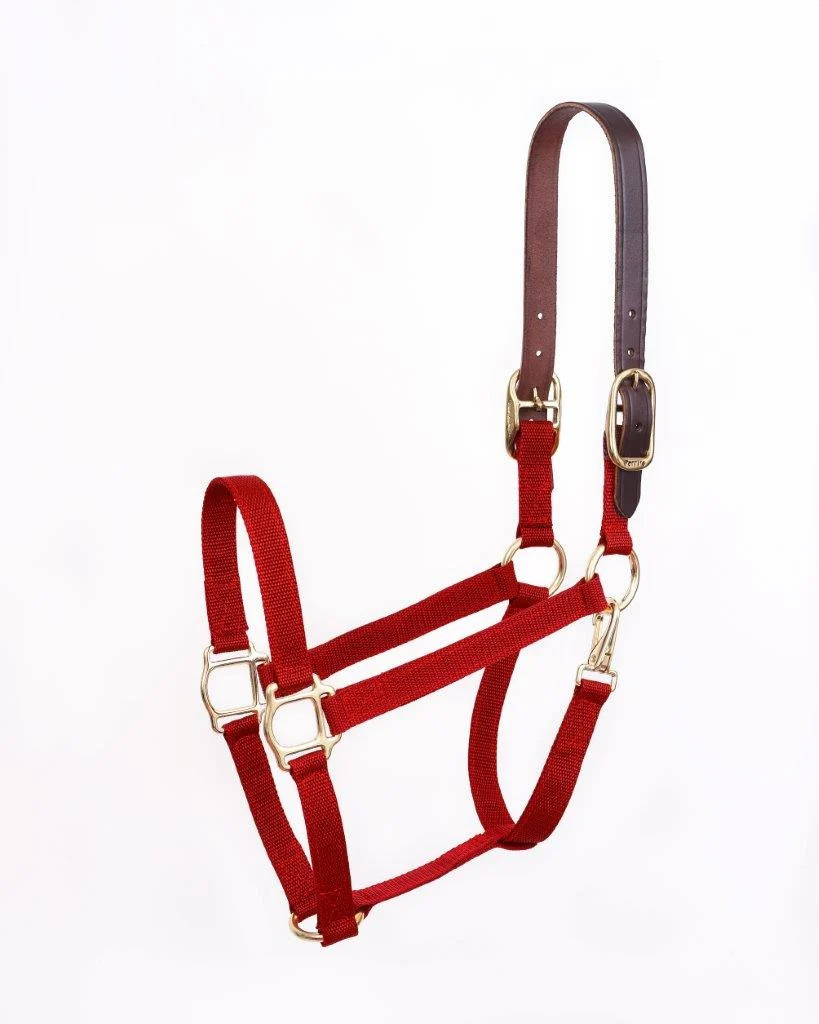 FREE Perri's Nylon Break-Away Halter with $150 Ord