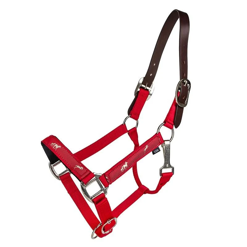 Gatsby Nylon Breakaway Halter Overlay - Image 3