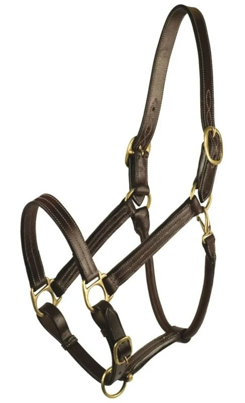 Gatsby Premium Adj Triple Stitched Halter - Image 2