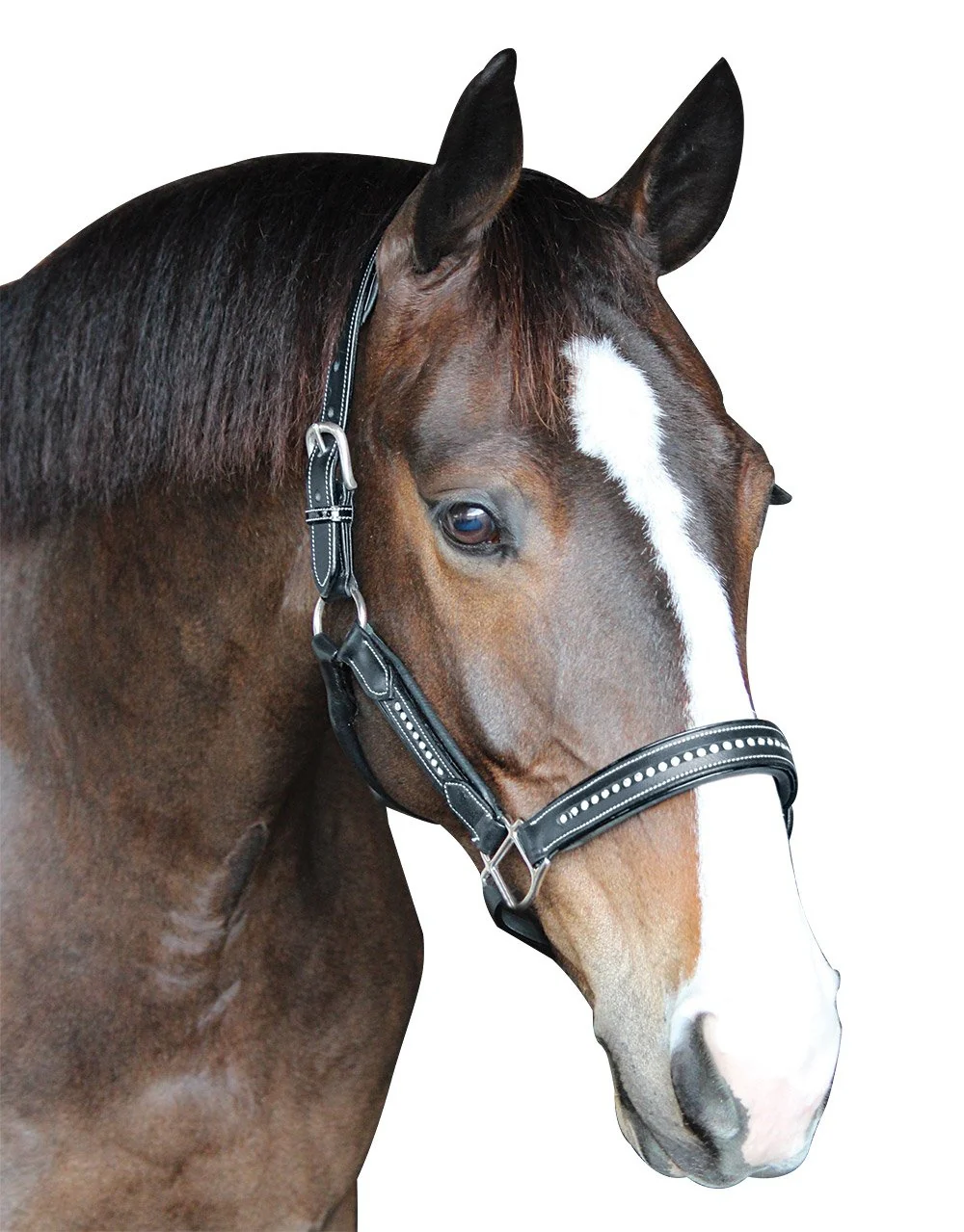 Henry de Rivel Padded Crystal Halter - Image 3