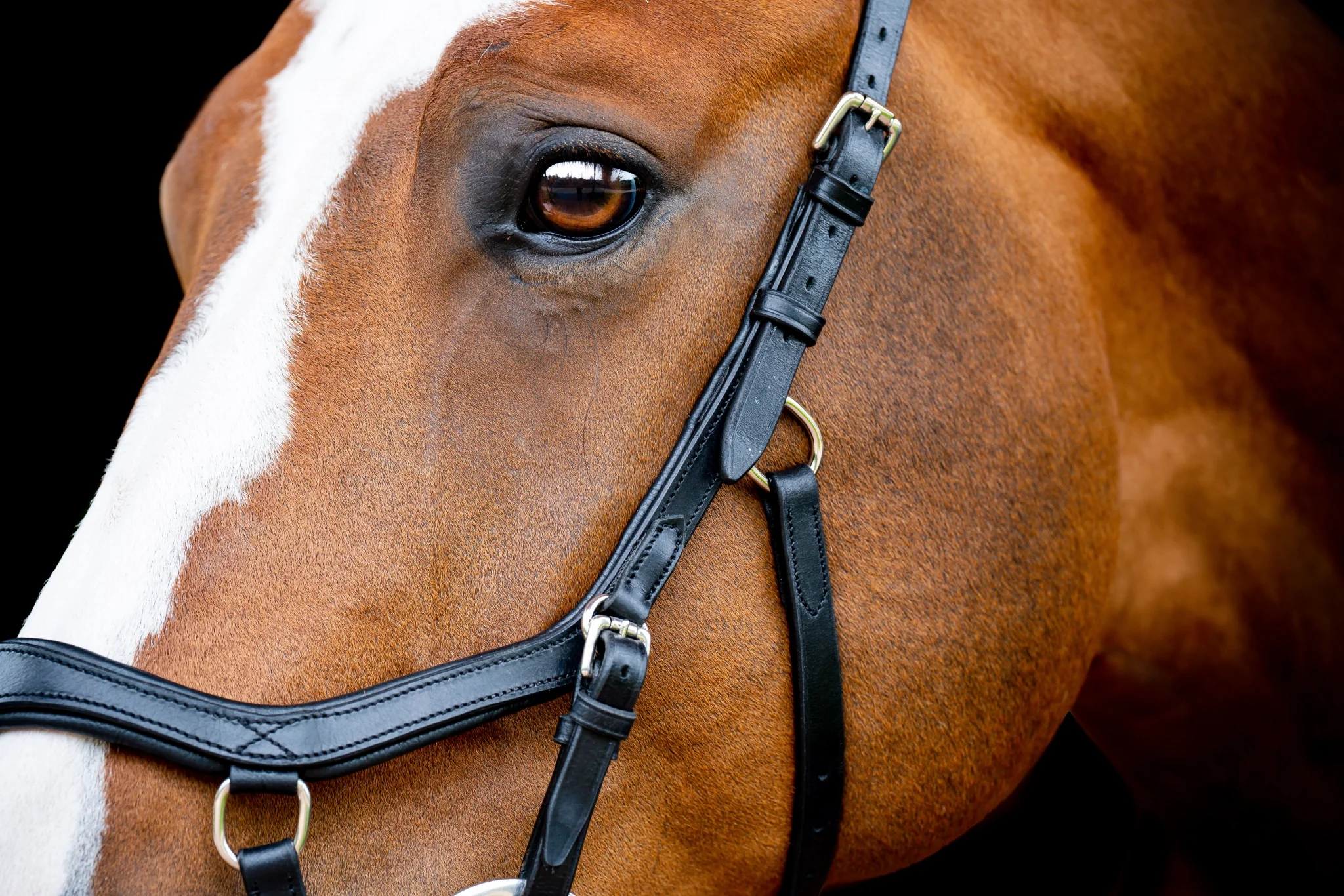 Horseware Micklem 2 Diamante Comp - Image 2
