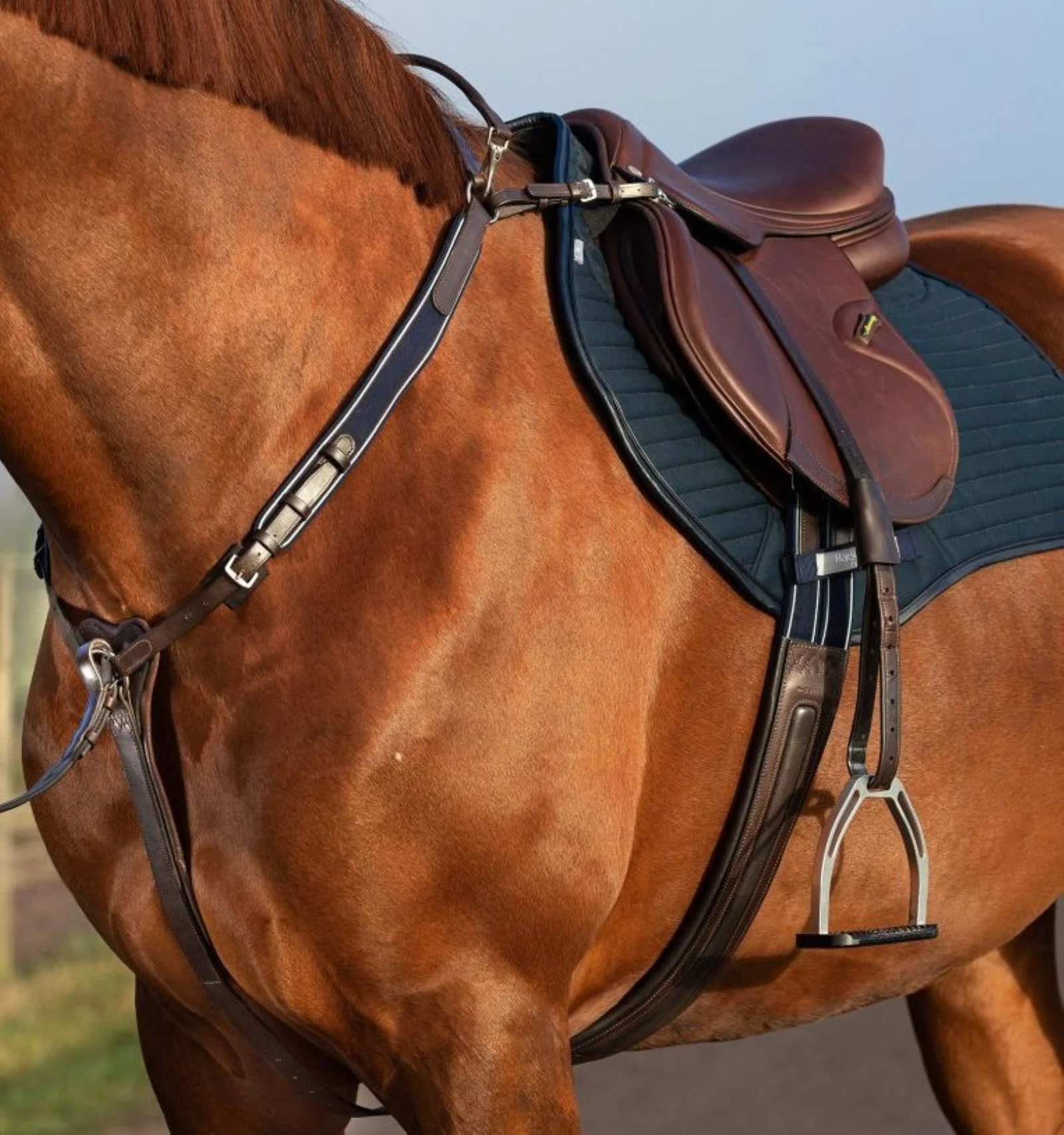 Horseware Micklem Breastplate Martin - Image 2