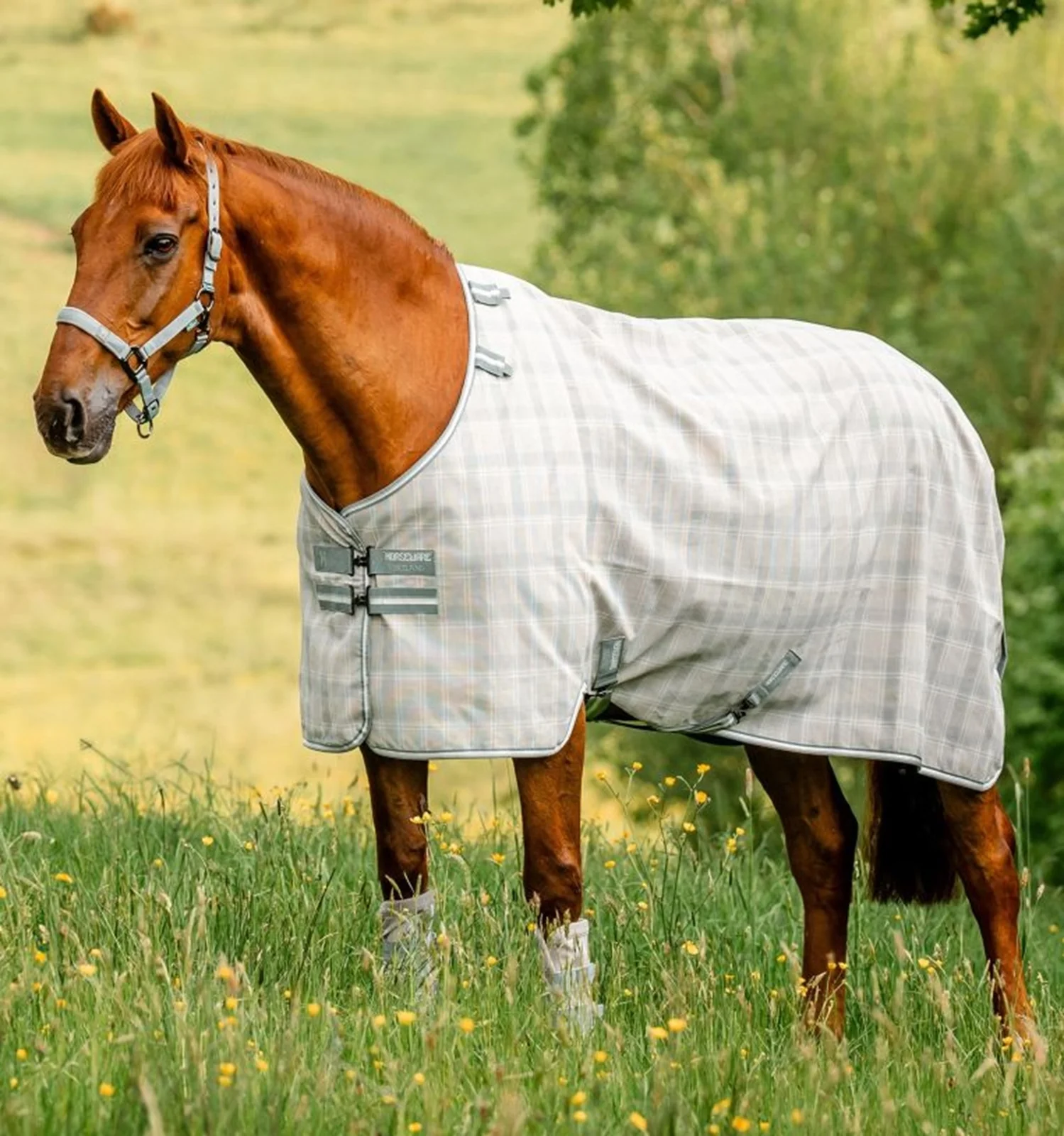 Horseware Newmarket Fly Sheet - Image 4