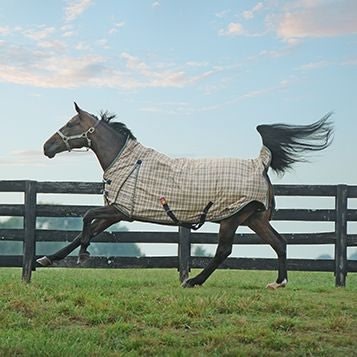 Jacks Deluxe English Saddle Pad Carrier 25" x 29" - Image 2
