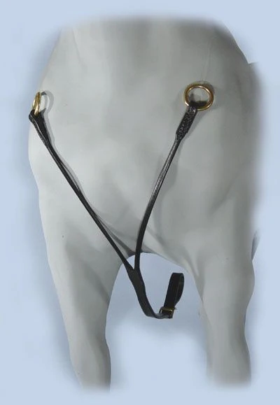 Ozark Mini/Pony Martingale