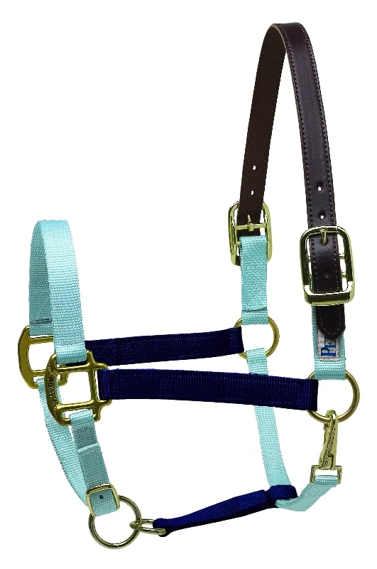 Perri's Color Vision Halter