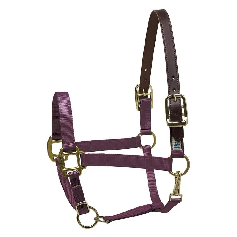 Perris Nylon Safety Halter - Image 2
