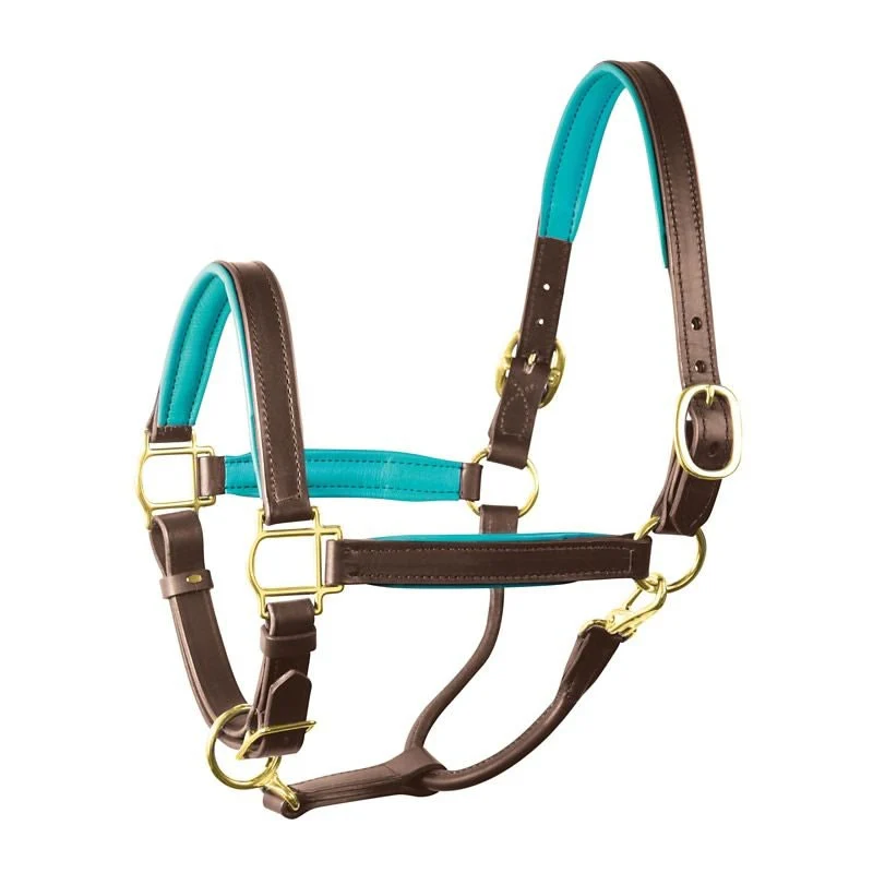 Perri's Soft Padded Leather Halter - Image 11