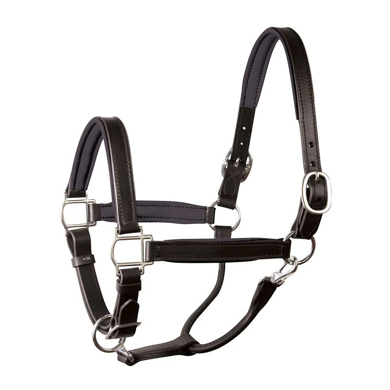 Perri's Soft Padded Leather Halter - Image 12