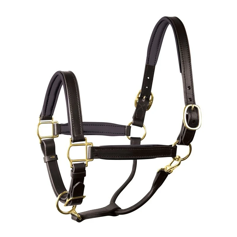 Perri's Soft Padded Leather Halter - Image 16