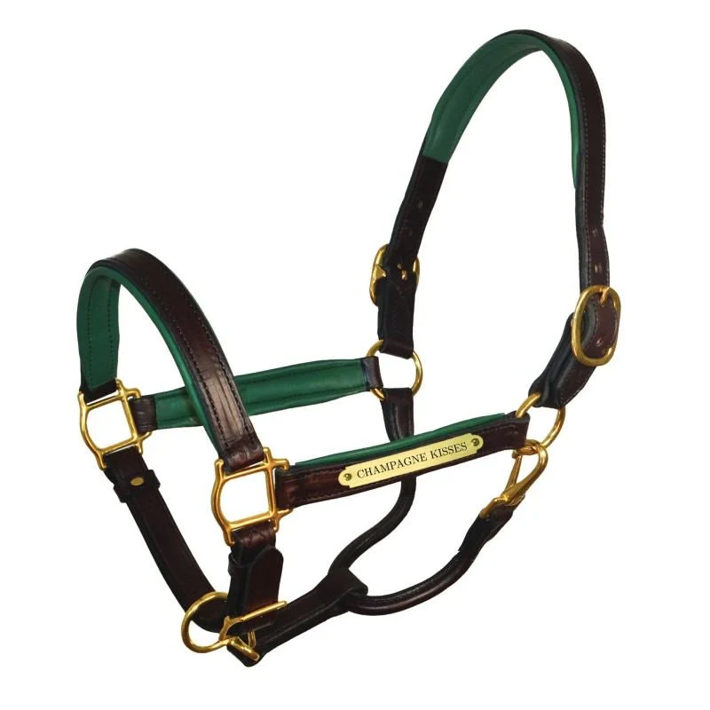 Perri's Soft Padded Leather Halter - Image 17