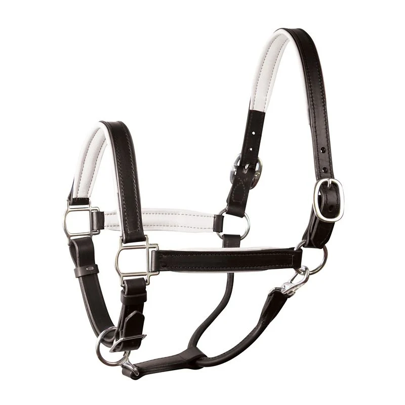 Perri's Soft Padded Leather Halter - Image 19