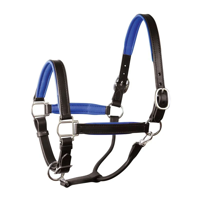 Perri's Soft Padded Leather Halter - Image 2