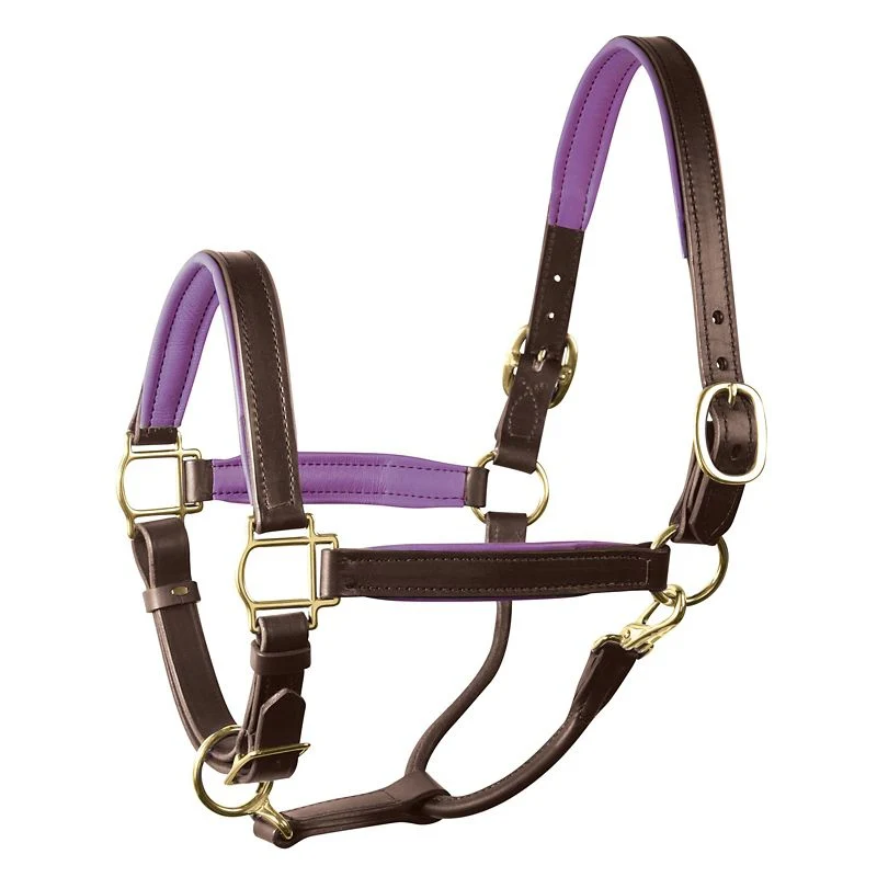 Perri's Soft Padded Leather Halter - Image 22