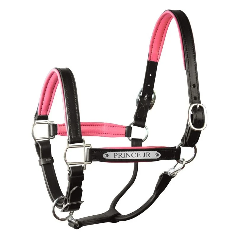 Perri's Soft Padded Leather Halter - Image 24