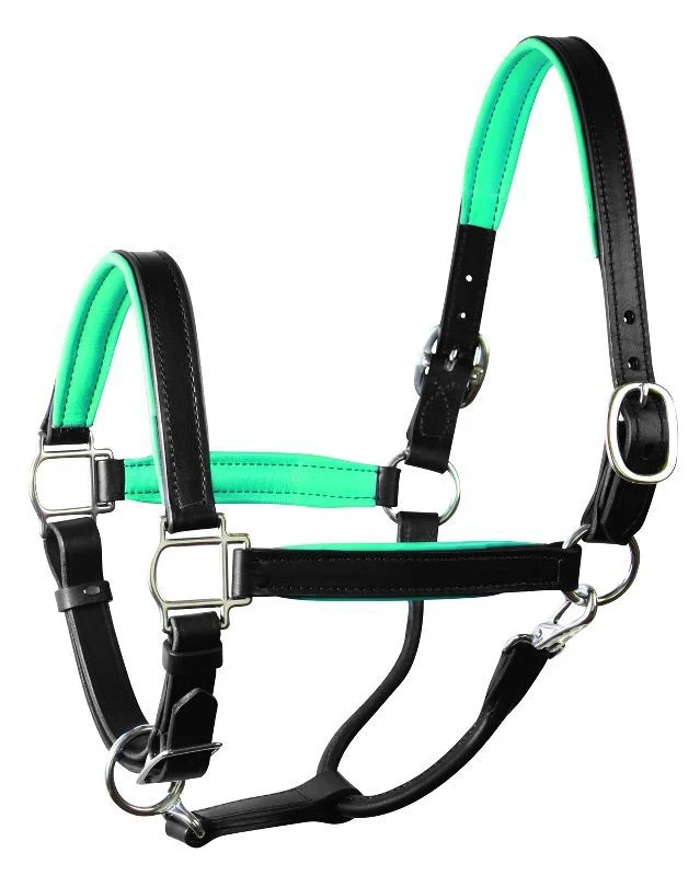 Perri's Soft Padded Leather Halter - Image 32