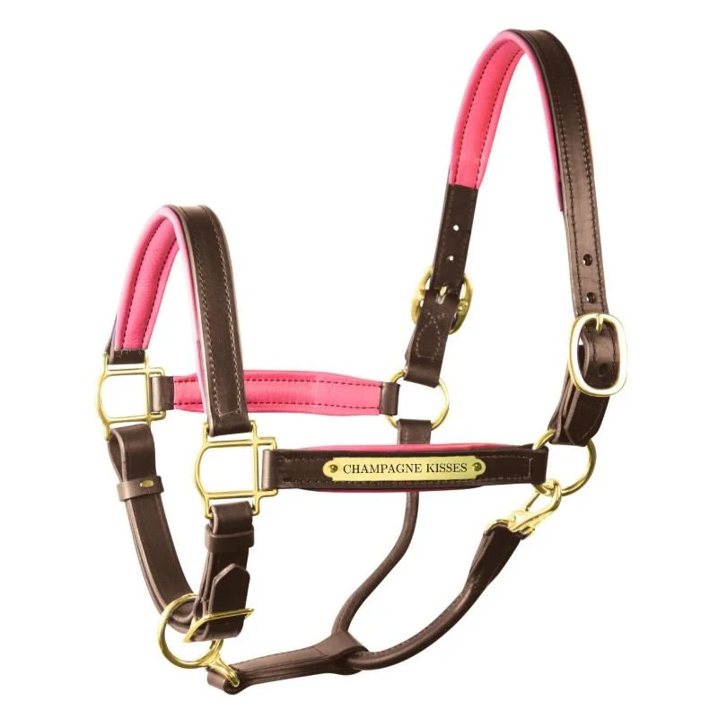 Perri's Soft Padded Leather Halter - Image 36