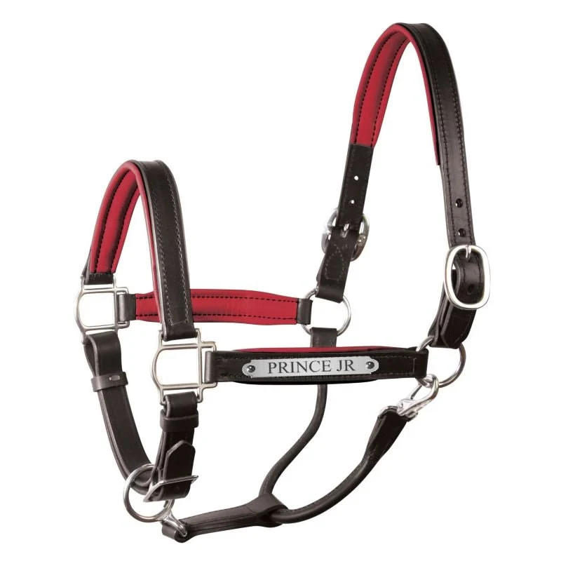 Perri's Soft Padded Leather Halter - Image 41