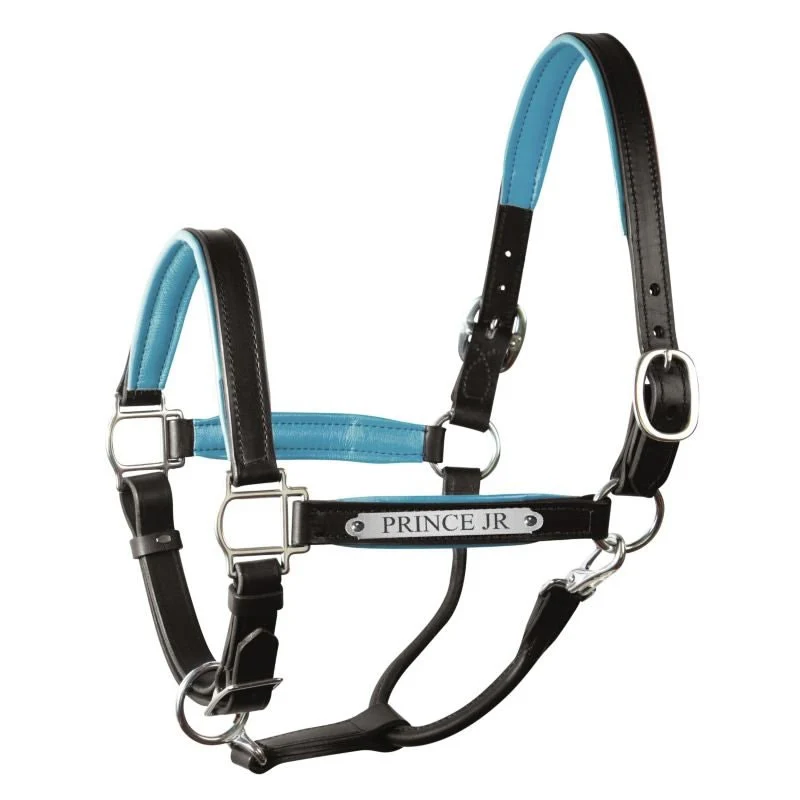 Perri's Soft Padded Leather Halter - Image 42