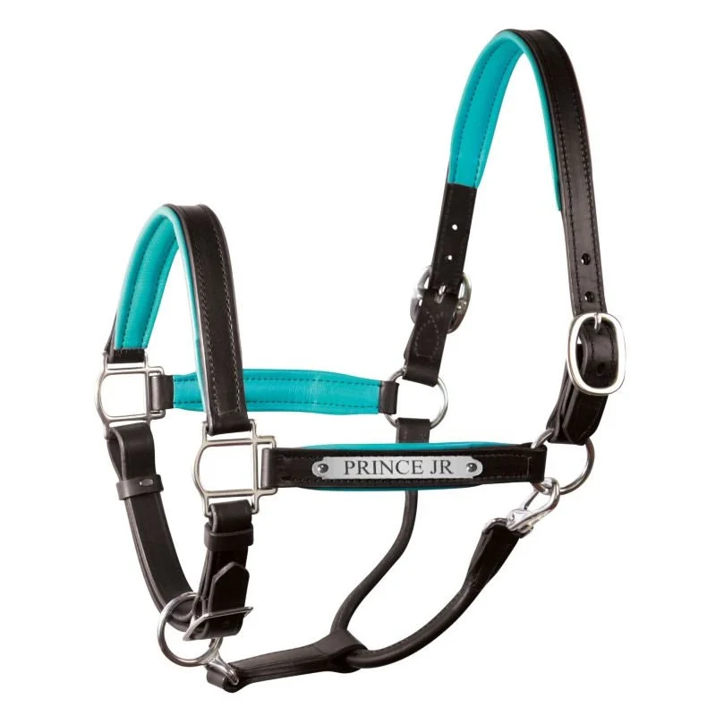 Perri's Soft Padded Leather Halter - Image 43