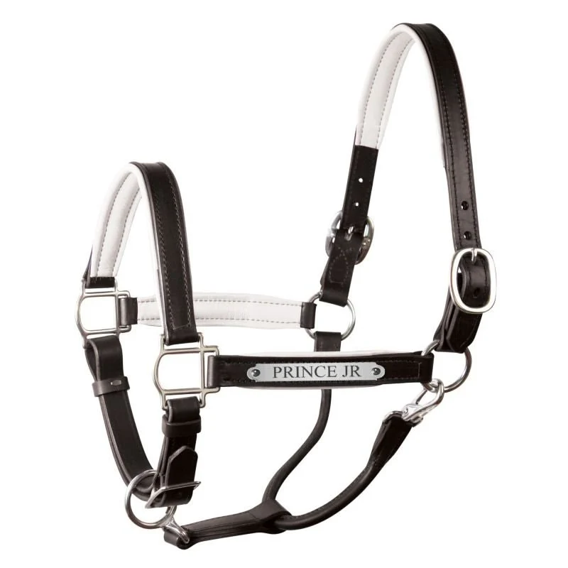 Perri's Soft Padded Leather Halter - Image 44