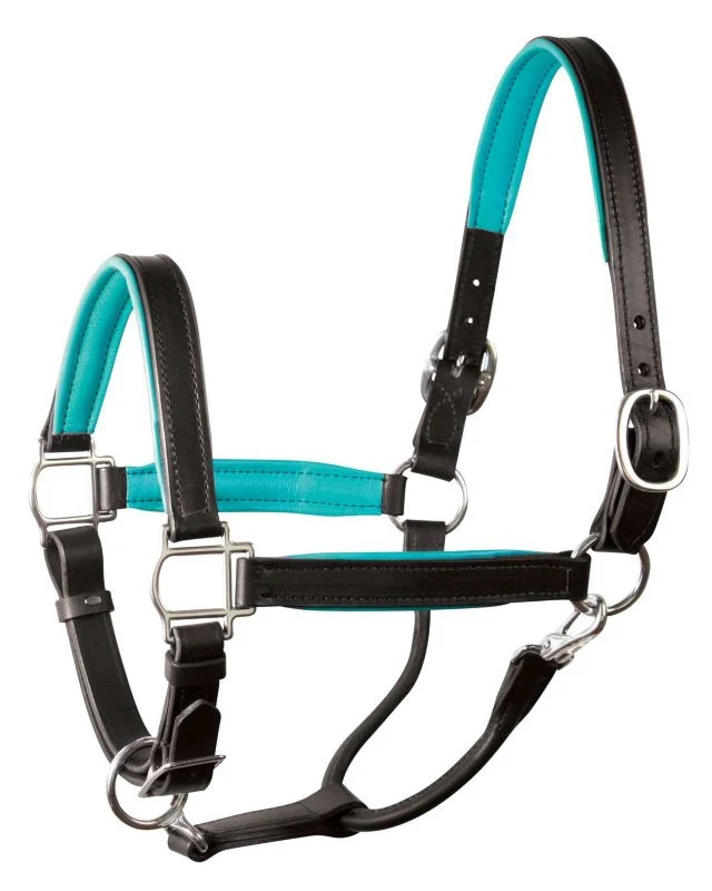 Perri's Soft Padded Leather Halter - Image 6